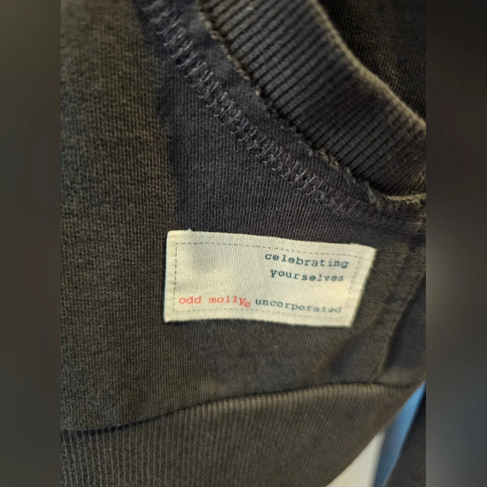 Odd Molly Size Small Dark Gray Hooded Pullover Sweatshirt Lace Up Front Comfy - Picture 3 of 11
